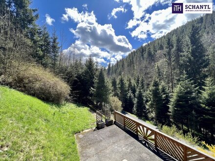 Sanierungsbedürftiges Haus mit Wald: Ruheoase am Fuße des Hochwechsels, in Waldbach! - OPEN HOUSE TERMIN am Samstag, 27…