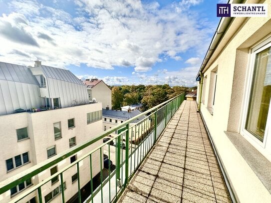 WOW Dachterrassenwohnung mit Cityview ++ 3-Zimmerwohnung mit Rundum-Terrasse ++ Top Lage ++ 15 Minuten bis zum Stephans…