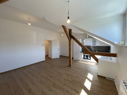 Einzigartige 2-Zimmer Dachgeschosswohnung im 9.Wiener Gemeindebezirk nahe des AKH's zu vermieten