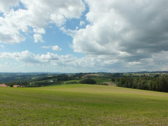 Ruhe - Aussichtslage - Lebensqualität