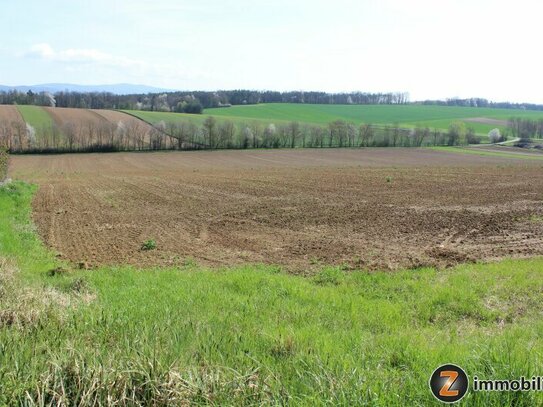 Oberwart: Baugrundstück in ruhiger Aussichtslage