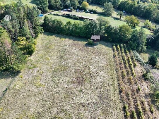 Voll aufgeschlossenes Baugrundstück nahe Wienerwald - insgesamt zwei verfügbar!