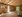 ++NEU++ Fantastische 3-Zimmer Altbauwohnung mit Terrasse und Garten ERSTBEZUG