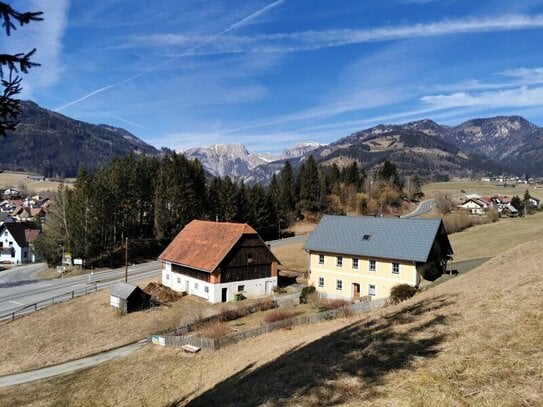 Bauernhaus mit Stallgebäude, umliegenden Wiesenflächen und Wald