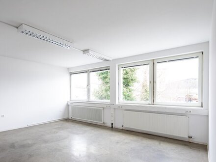 Großzügiges Büro in Dietach