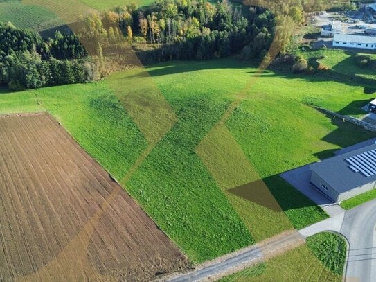 Ca. 3.000m² großes Grundstück in Altenfelden zu verkaufen!