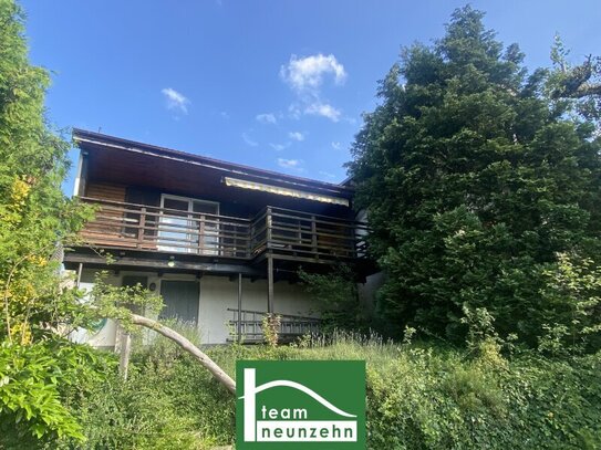 JETZT ANFRAGEN - Traumhaftes Ferienhaus am Neufeldersee IV - EIGENER SEEZUGANG