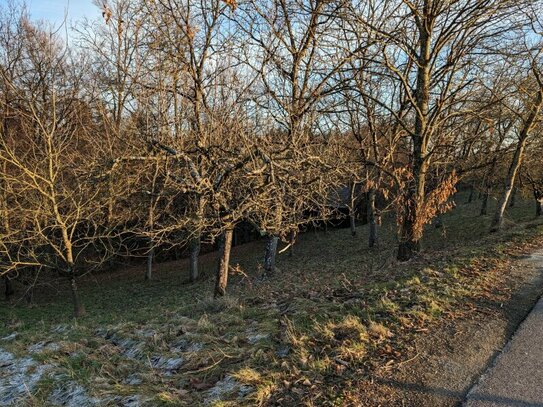 Großes Gartengrundstück in ruhiger Lage