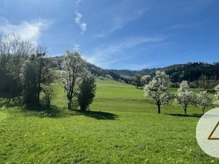 Sonniges Baugrundstück in wunderschöner Lage im Mostviertel!