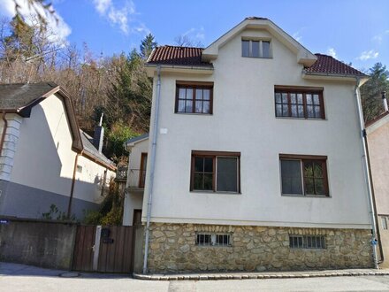 Ein- Zweifamilienhaus mit WALD - DACHTERRASSE - NEBENGEBÄUDE - INNENHOF