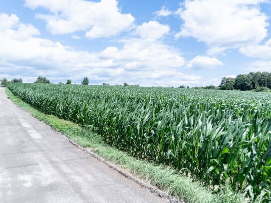 Perfektes Gewerbegrundstück mit Grünblick in Wolfern