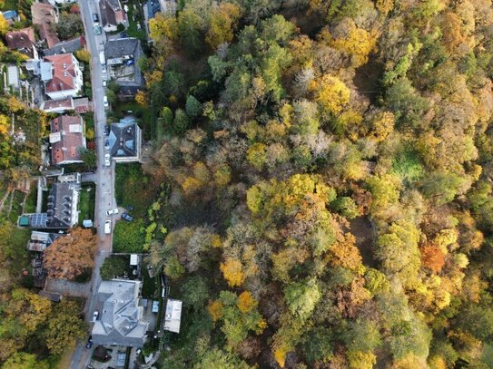 3 Baugrundstücke in besonders schöner Villen-Grünruhelage! Inkl. Bebauungskonzept!