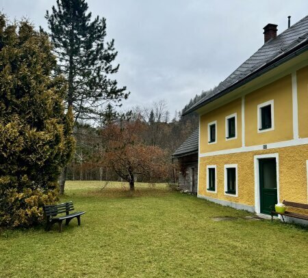 RÜCKZUGSORT WILDALPEN - WOHNEN IN ABSOLUTER GRÜNRUHELAGE