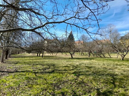 Sonnige Baugründe (teilbar) 125,-/m² im Stadtbereich von Hartberg