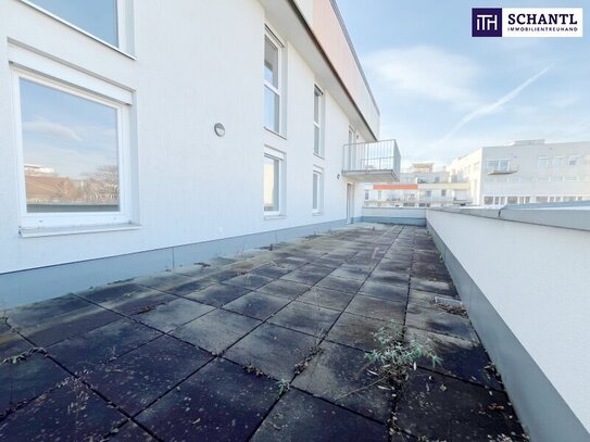 WAHRER TERRASSEN-TRAUM! SONNENERSTRAHLTE 2-Zimmer Wohnung mit 55m² Terrasse! Ab sofort verfügbar!