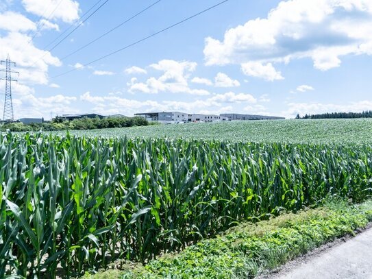 Gewerbegrundstück in Wolfern - perfekt für Ihren Betriebsstandort