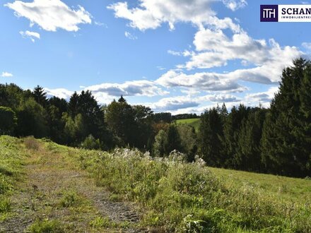 Hervorragendes Baugrundstück für die Parzellierung von insgesamt 5 Bauplätzen! Rastbühel - Nur 10 Minuten von der Plüdd…