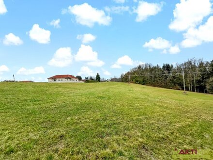 Großer Wohn-Baugrund in erhöhter Lage. - Freiland-Anteil mit Potential zur Widmung. - Vielfältige Möglichkeiten.