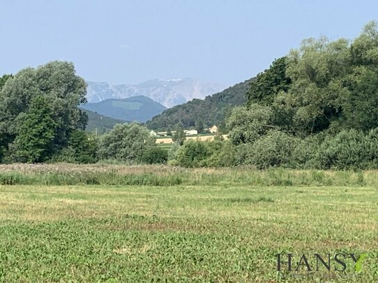 Traumhaftes Landwirtschaftsgut in idyllischer Lage - 314.000 m² mit Berg-, Fern- und Grünblick