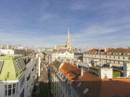 Plankengasse - loftartiges Penthouse auf 3 Etagen und Blick zum Stephansdom