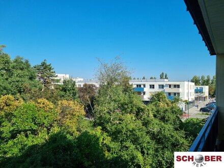 *Renovierungsbedürftig* Hell, geräumig, perfekter/moderner Schnitt
