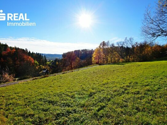 8380 Jennersdorf - Traumhaftes Baugrundstück mit Fernblick über Laritzgraben!