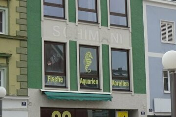 Stadthaus in idealer Lage mit großer Wohnung u. Dachterrasse !