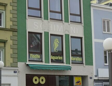 Stadthaus in idealer Lage mit großer Wohnung u. Dachterrasse !