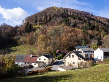 Großzügiges Landhaus in sonniger Lage
