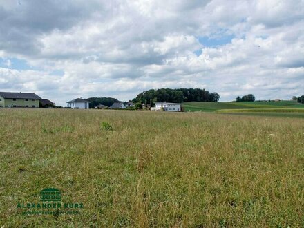 Landwirtschaft, Milch- und Mastbetrieb ca. 35 km nördlich von Salzburg