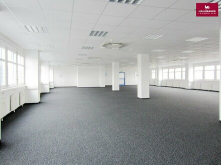 Büro 300 m2 südlich von Wien in Wr. Neudorf