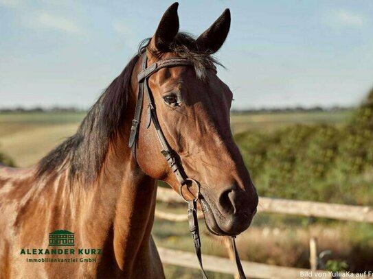 Top ausgestattete Reitanlage im Norden Salzburgs