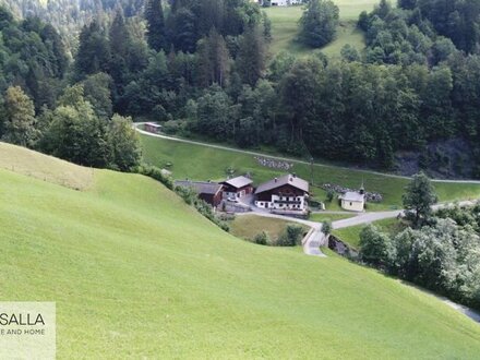 Landwirtschaftliches Liebhaber Objekt