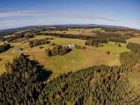 Bio-Hof mit perfekter Infrastruktur im Bezirk Freistadt - Naturparadies für Tierhaltung, Reitbegeisterte und Urlaub am…