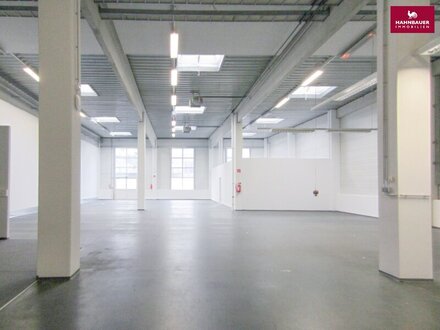 Lagerhalle 650 m2 + Büro 229 m2 Kombination südlich von Wien, in Wr. Neudorf