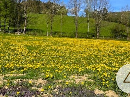 Apfelblüte im Mostviertel - Baugründe in wunderschöner, sonniger Lage!