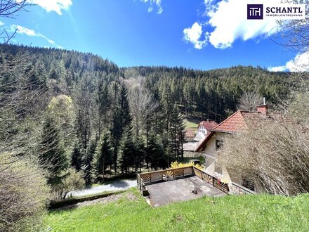Sanierungsbedürftiges Haus mit Wald- OPEN HOUSE TERMIN am Freitag, 29.9.2023 / 12-14:30 Uhr