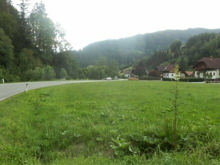 NEUBERG AN DER MÜRZ/KAPELLEN - SCHÖN GELEGENE BAURECHTSGRÜNDE