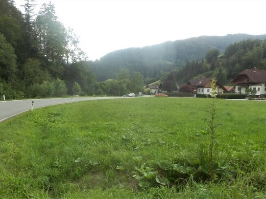 NEUBERG AN DER MÜRZ/KAPELLEN - GROSSZÜGIGER BAURECHTSGRUND