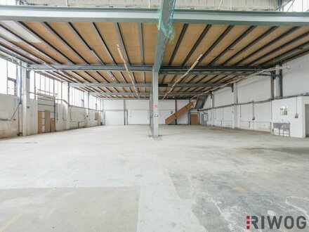 Ebenerdige Lagerhalle mit 674m² und Rolltor