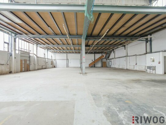 Ebenerdige Lagerhalle mit 674m² und Rolltor