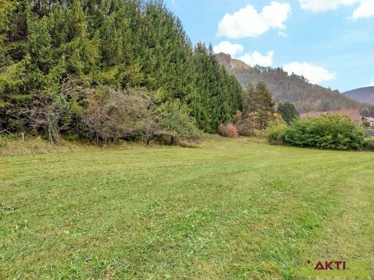 10 Min. vor Graz. - Wohnbau-Grund in naturnaher Lage. - Zwischen Gratwein und Deutschfeistritz.