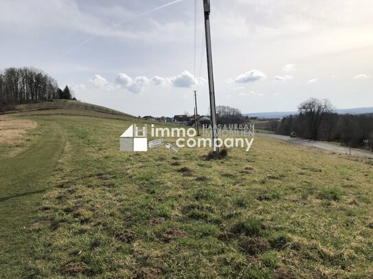 Sonniger großer Baugrund wie ihn fast jeder will in Weichselbaum