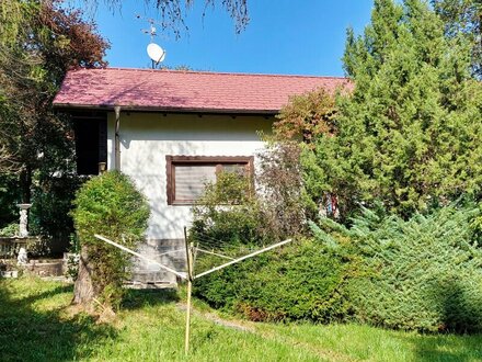 Großzügiges Einfamilienhaus mit Blick in den Wienerwald!