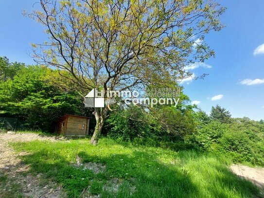 !!! Preisreduktion !!! Baugrundstück in Wienerwald Ruhelage an der Wiener Stadtgrenze im Bezirk Klosterneuburg