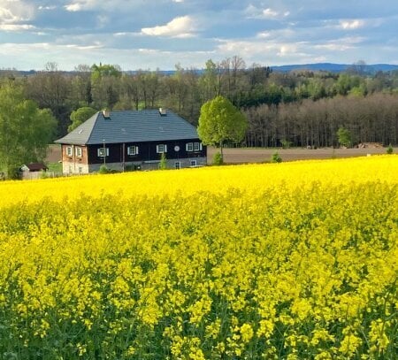 (RESERVIERT) TRAUMHAFTES WALDVIERTLER LANDHAUS IN ORTSRANDLAGE MIT THAYA-ZUGANG