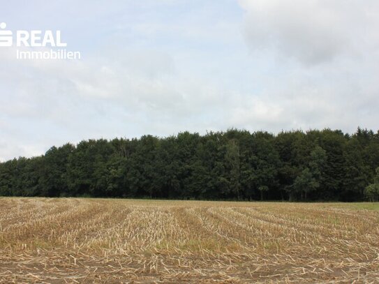 Landwirtschaftlich genutzte Grundstücke in 3300 Amstetten!!!