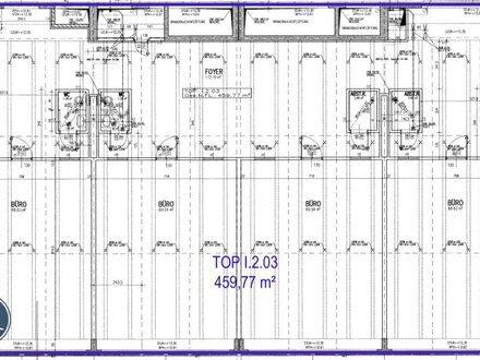 459,77 m² Bürofläche im 1. OG