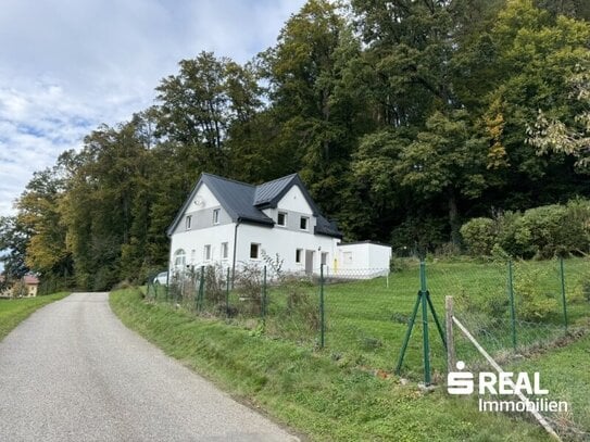 Einfamilienhaus in romantischer Ruhelage