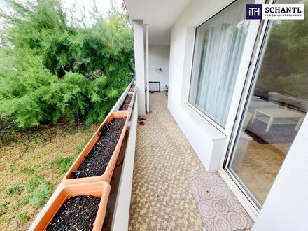 Neuer Preis! TOP Grün- und Ruhelage! Charmante 4-Zimmer Wohnung mit großem Balkon in idyllischer Lage in 1190 Wien! Tol…